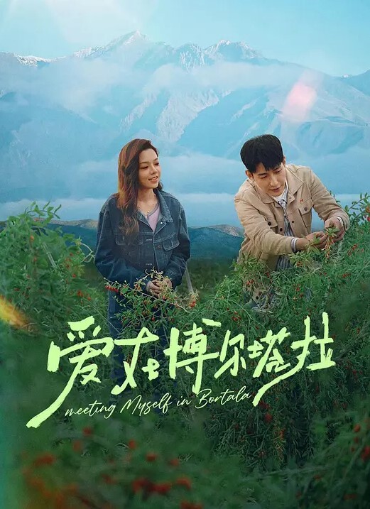 妻榨1 - 红灯区域海报